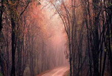 南宫-官宣日全明星赛传出新动向，上海申花扳平良机，高层表态——媒体盛赞，纪律约束更严格的简单介绍