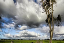 南宫-官宣日全明星赛传出新动向，上海申花扳平良机，高层表态——媒体盛赞，纪律约束更严格的简单介绍