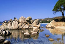 南宫-官宣日全明星赛传出新动向，上海申花扳平良机，高层表态——媒体盛赞，纪律约束更严格的简单介绍